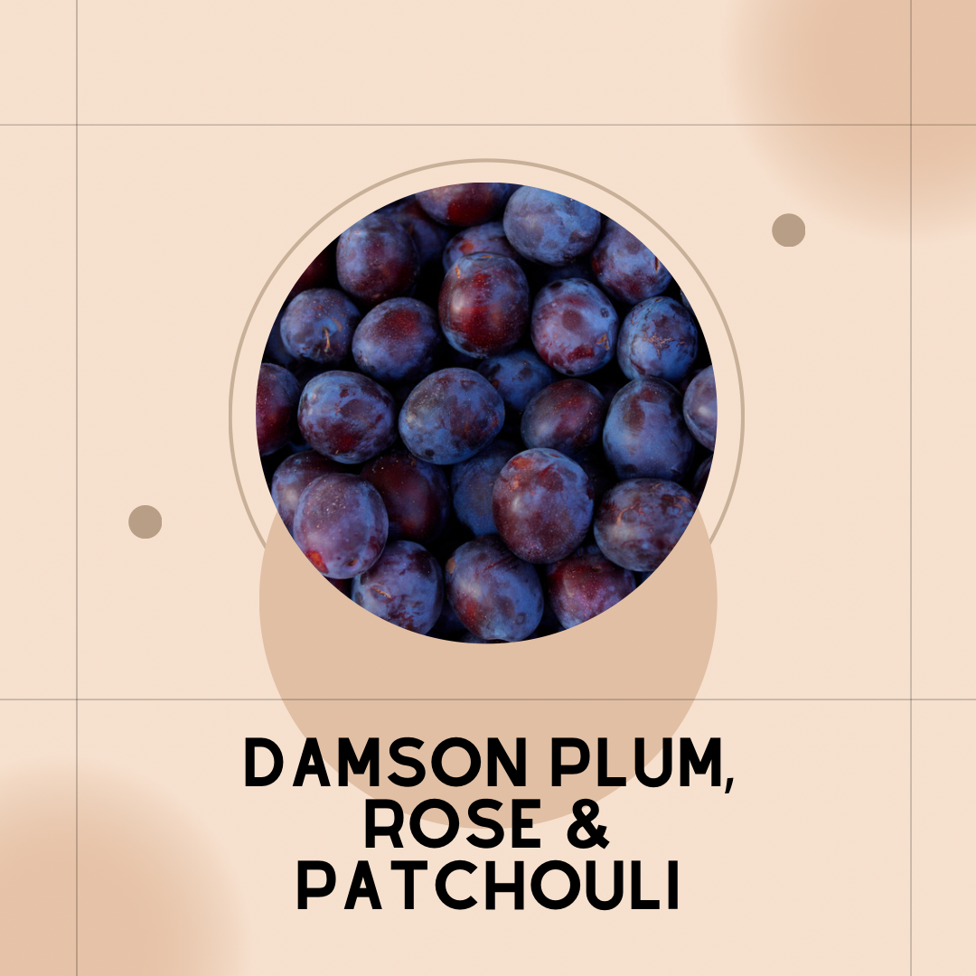 DAMSON PLUM, ROSE & PATCHOULI Wax Melt Pack