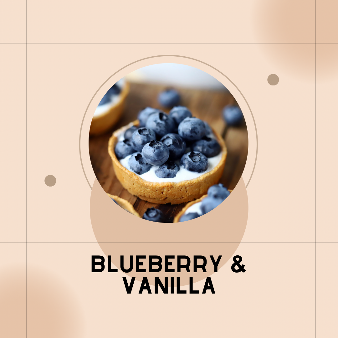 BLUEBERRY & VANILLA Wax Melt Pack