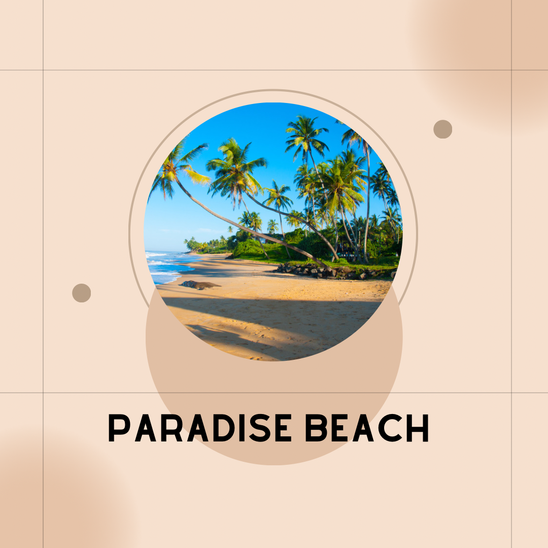 PARADISE BEACH Wax Sampler