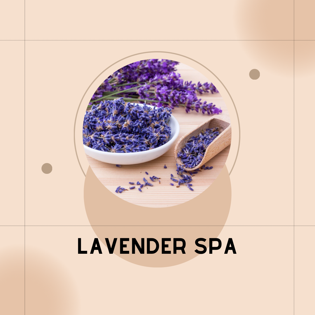 LAVENDER SPA Wax Melt Pack