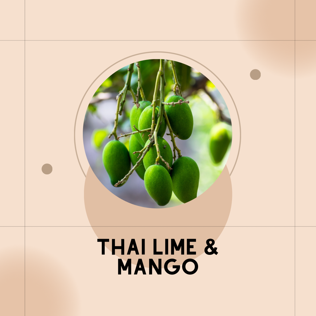 THAI LIME & MANGO Wax Melt Pack